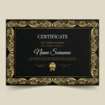 Plane Certificate